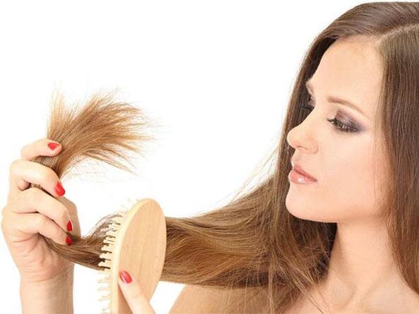 Der Abschnitt der Haare Enden